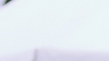 Photo by Daniel Patlan for Remezcla