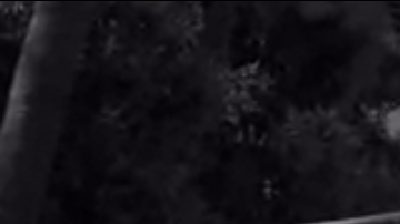 The Monster in the Mountains Screen Shot 2015-03-31 at 12.17.21 PM