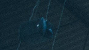 Photo: Roberto Chamorro for The Armory Show