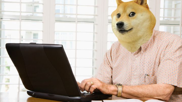 domain2