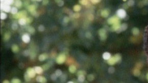 'La Bamba.' ©1987 Columbia Pictures Industries, Inc. All Rights Reserved. Courtesy of Columbia Pictures.