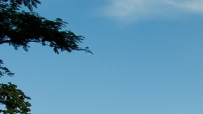 Credit: Shutterstock