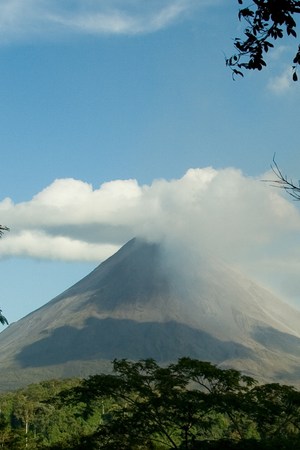 Credit: Shutterstock