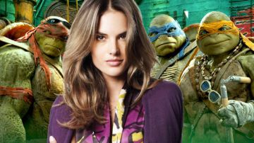 teenage mutant ninja turtles