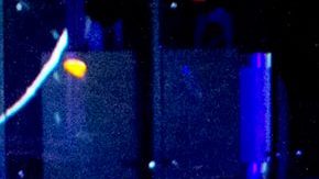 134324_886950074648638_1720959792424063638_o