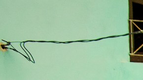 Photo by: Lisette Poole