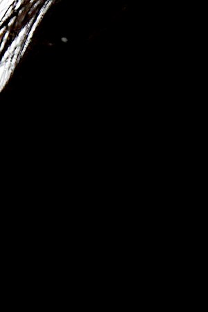 PARICIPA DIEGO LUNA EN FESTIVAL DE CINE