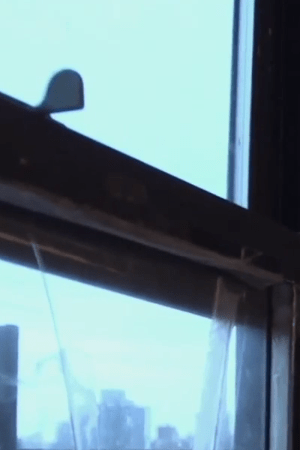 The Wolfpack Batman Screen Shot 2015-04-22 at 12.33.13 PM