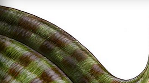 Credit: Gabriel Lío