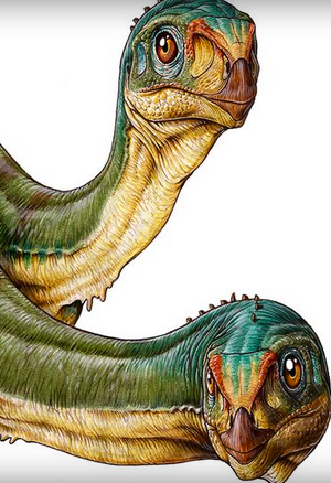 Credit: Gabriel Lío