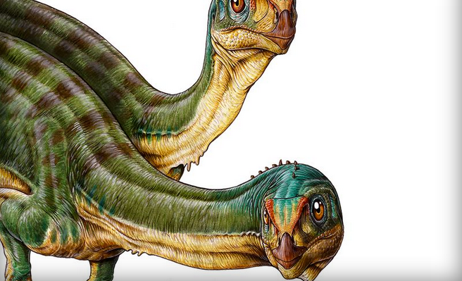 Credit: Gabriel Lío