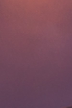 TFF15_MarqueeImage-300dpi