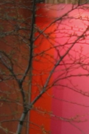 Tribeca Film Festival 2005