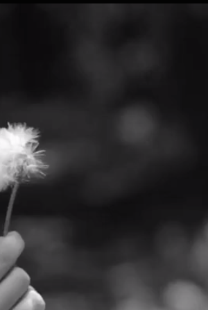 Viaje CROP Screen Shot 2015-04-09 at 3.04.42 PM