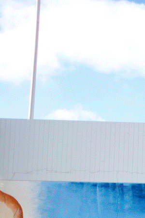 GIF from "Lupes" zine by Itzel Alejandra of Cósmica collective