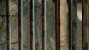 branco-sai-preto-fica