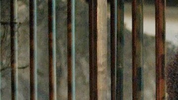 branco-sai-preto-fica