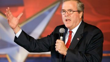 Jeb Bush