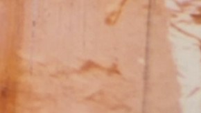 Ladanzadelhipocampo-959x487