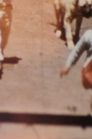 Ladanzadelhipocampo-959x487