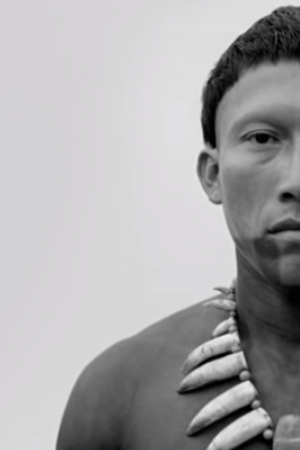 Abrazo Serpiente Screen Shot 2015-05-06 at 5.44.33 PM