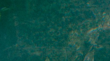 Photo by Daniel Patlán