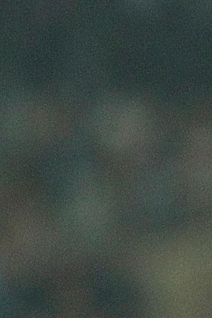 Juventus v Real Madrid CF  - UEFA Champions League Semi Final