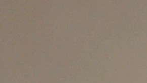 Domenica Cameron-Scorsese