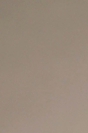 Domenica Cameron-Scorsese