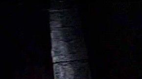 diego luna star wars