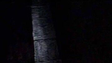 diego luna star wars