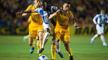 tigres-pachuca-c2014