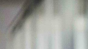 Puerto Ricans in Paris 11336937_865960323476328_1941527636117771447_o