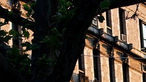 Creative Commons "Washington Heights” by Tom Thai is licensed under CC BY 2.0