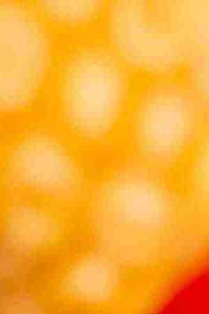 Photo by nehopelon / 	iStock / Getty Images Plus