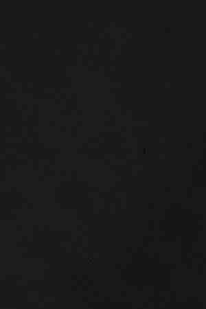 Photo by mikkelwilliam / iStock / Getty Images Plus