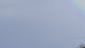 Xiuhtezcatl Martinez Kid Warrior IMG_3678