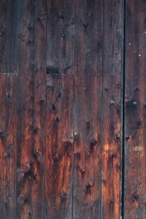 Photo: Raul Espinoza