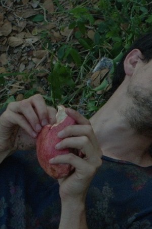 bestia de cardo Hermes-JORGE-LUIS-MORENO-and-Moira-VIRGINIA-SANCHEZ-NAVARRO-discuss-death