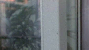 fhd998TBH_Lou_Diamond_Phillips_006