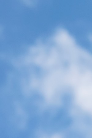 Photo by Getty Images