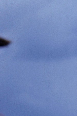 PITTSBURGH - 1960's: Outfielder Roberto Clemente #21 of the Pittsburgh Pirates poses for a portrait prior to a game in the 1960's at Forbes Field in Pittsburgh, Pennsylvania. (Photo by Diamond Images/Getty Images)
