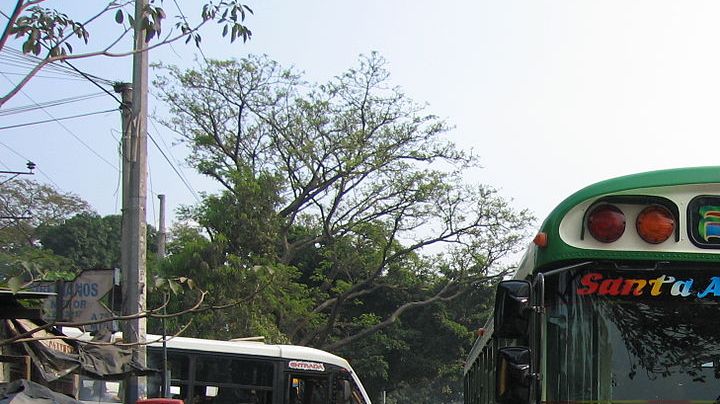 1280px-El-Salvador-Bus