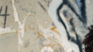 25_osf_IgFeed_31_16_53280005-