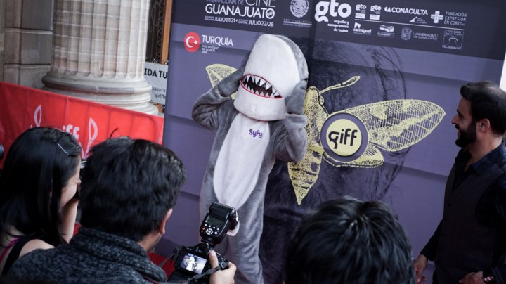 DSC01029 GIFF 2015