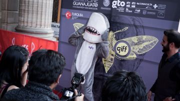 DSC01029 GIFF 2015