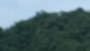 Narcos Screen Shot 2015-07-15 at 7.09.27 PM