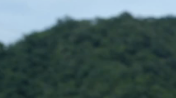 Narcos Screen Shot 2015-07-15 at 7.09.27 PM