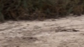 Pierdete entre los muertos Screen Shot 2015-07-16 at 12.06.01 PM