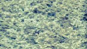 Claudio Peláez Sordo